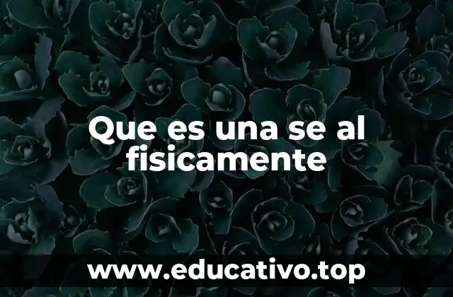 Que es una se al fisicamente