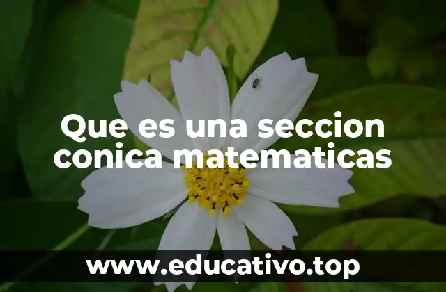 Que es una seccion conica matematicas