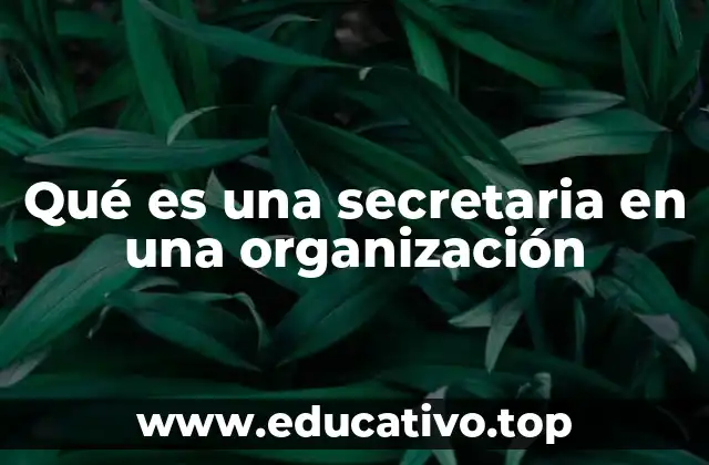 Qué es una secretaria en una organización