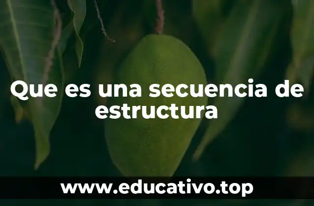 La importancia del orden en la organización de elementos