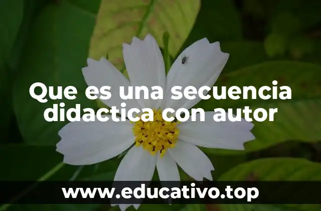 El rol del docente en la creación de secuencias didácticas