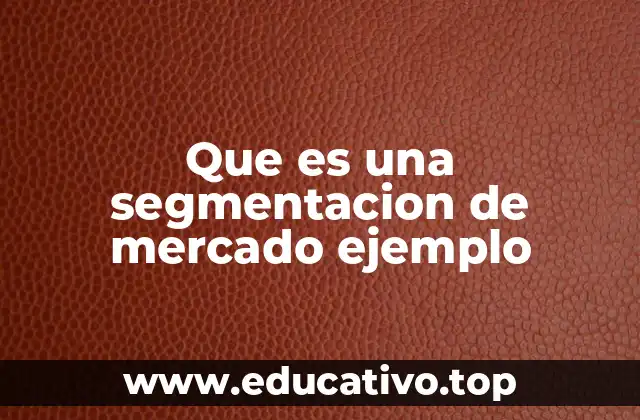 Que es una segmentacion de mercado ejemplo