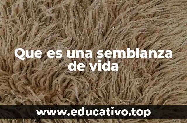 Que es una semblanza de vida