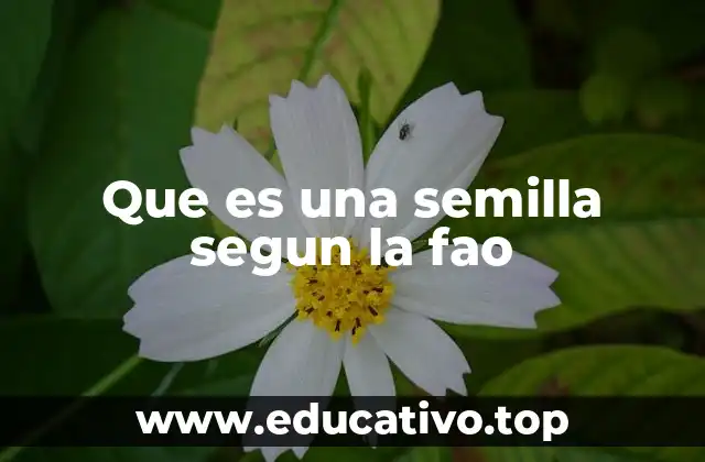Que es una semilla segun la fao