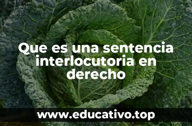 Que es una sentencia interlocutoria en derecho