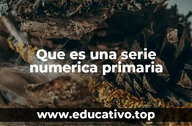 Que es una serie numerica primaria