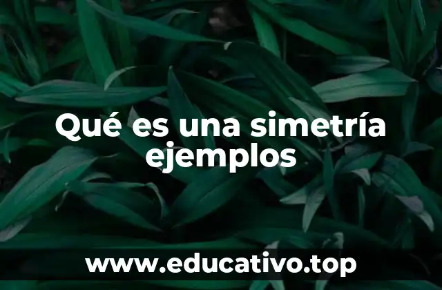 Qué es una simetría ejemplos