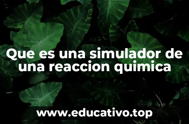 Que es una simulador de una reaccion quimica
