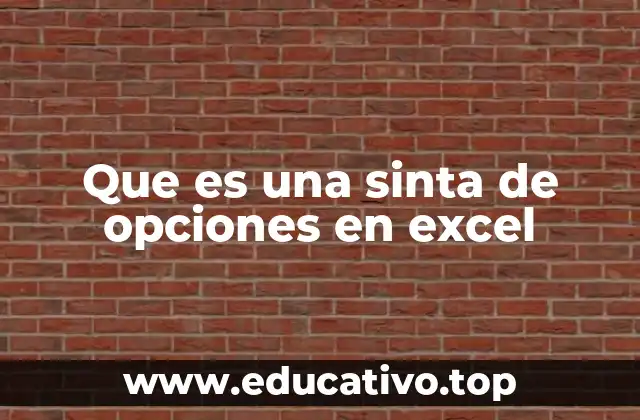 Que es una sinta de opciones en excel