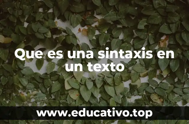 Que es una sintaxis en un texto