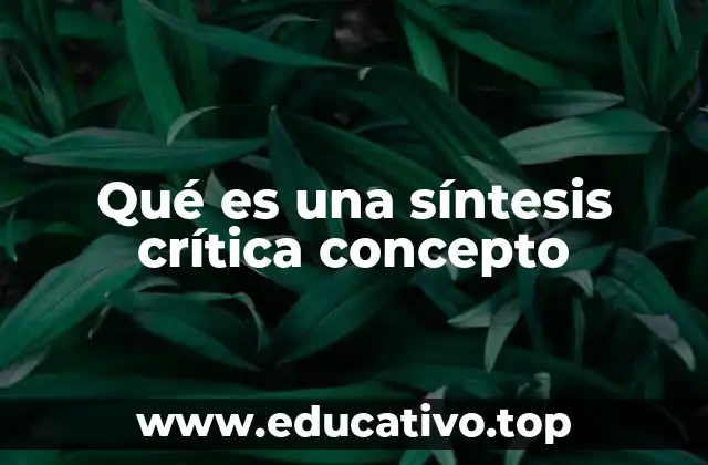 Qué es una síntesis crítica concepto