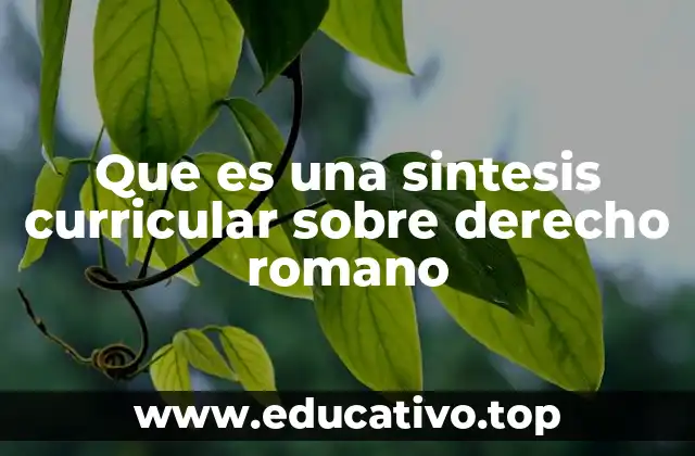 Que es una sintesis curricular sobre derecho romano