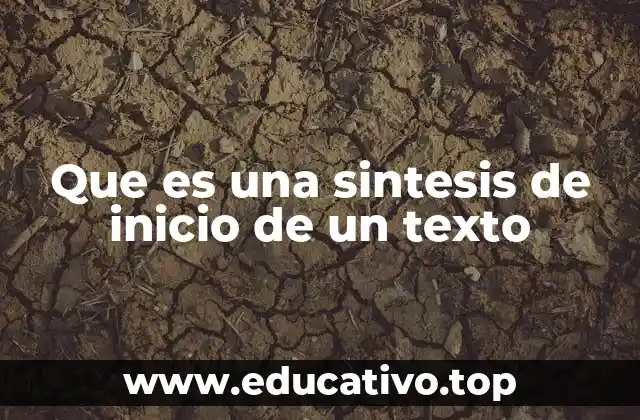 Que es una sintesis de inicio de un texto