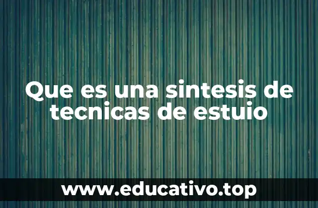 Que es una sintesis de tecnicas de estuio
