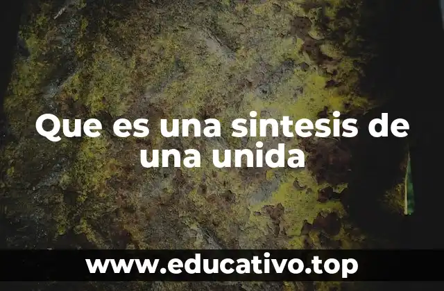 Que es una sintesis de una unida