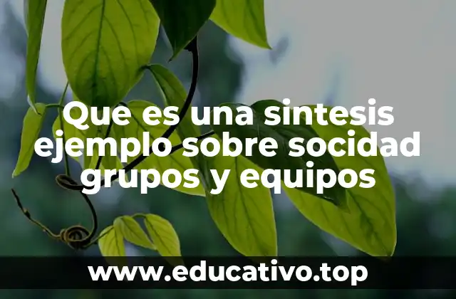 Que es una sintesis ejemplo sobre socidad grupos y equipos