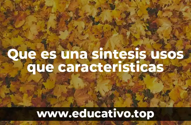 Que es una sintesis usos que caracteristicas