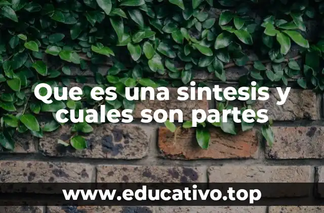 Que es una sintesis y cuales son partes