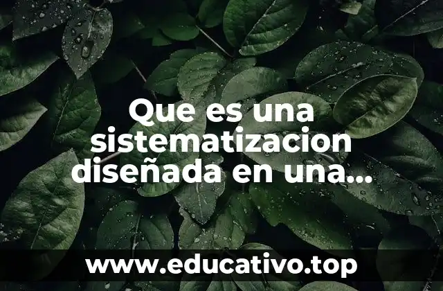Que es una sistematizacion diseñada en una auditoria