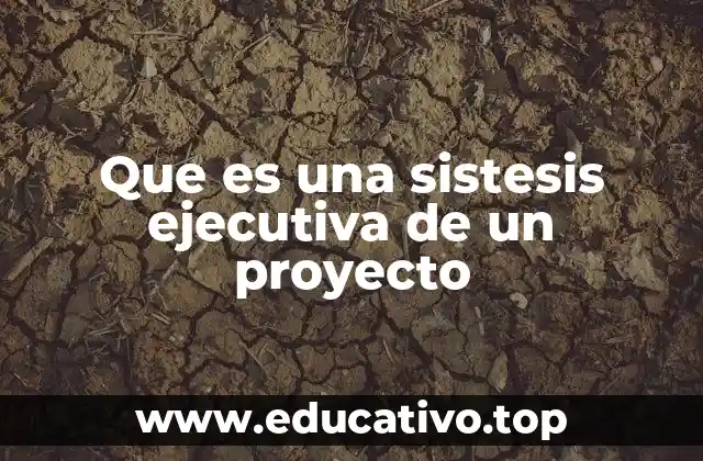 Que es una sistesis ejecutiva de un proyecto