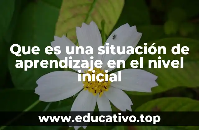 Que es una situación de aprendizaje en el nivel inicial