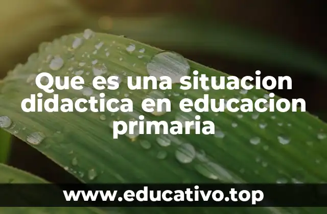 Que es una situacion didactica en educacion primaria