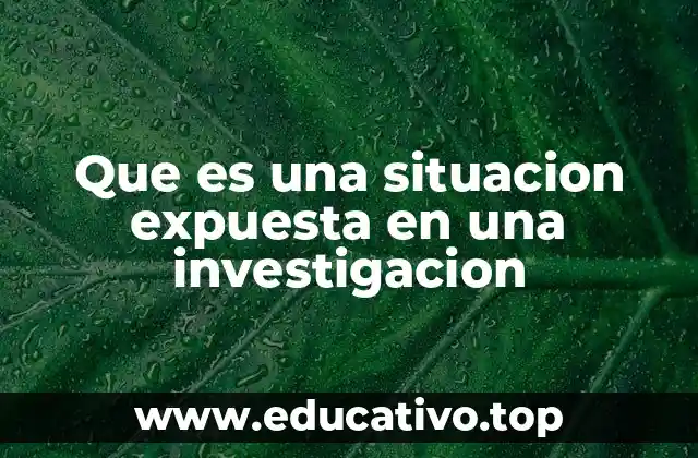 Que es una situacion expuesta en una investigacion