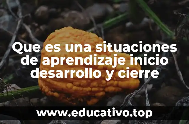 Que es una situaciones de aprendizaje inicio desarrollo y cierre