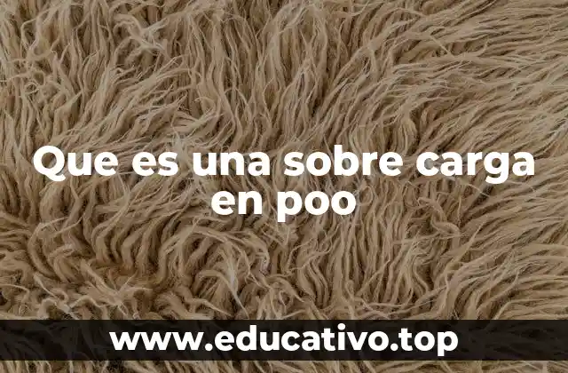 Que es una sobre carga en poo