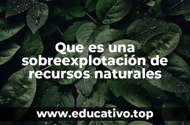 El impacto ecológico de un uso desmedido de los bienes naturales