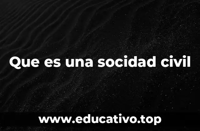 Que es una socidad civil