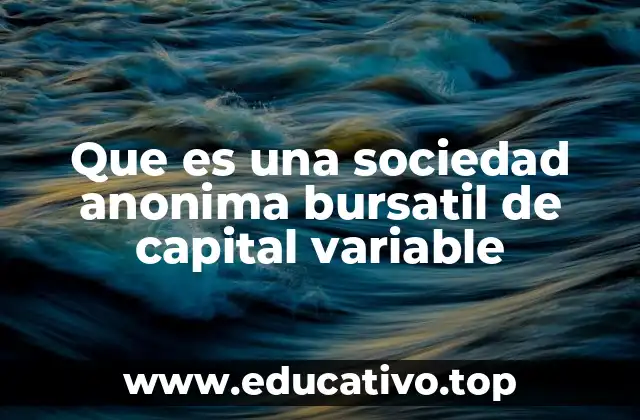 Que es una sociedad anonima bursatil de capital variable
