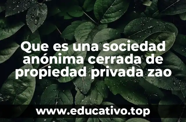 Que es una sociedad anónima cerrada de propiedad privada zao
