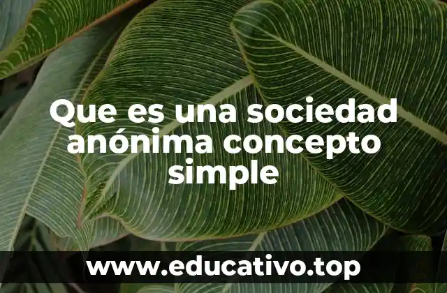 Que es una sociedad anónima concepto simple
