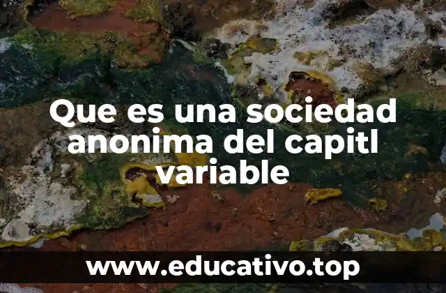 Que es una sociedad anonima del capitl variable