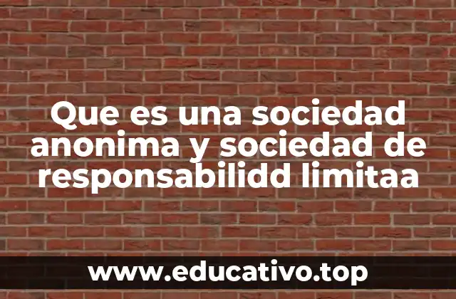 Características comunes y diferencias entre las sociedades anónimas y de responsabilidad limitada
