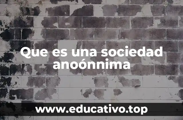Que es una sociedad anoónnima