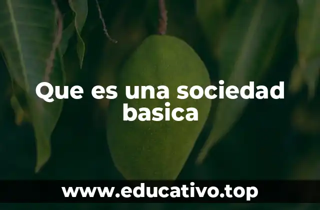 Que es una sociedad basica