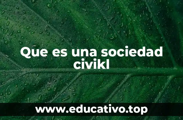 Que es una sociedad civikl