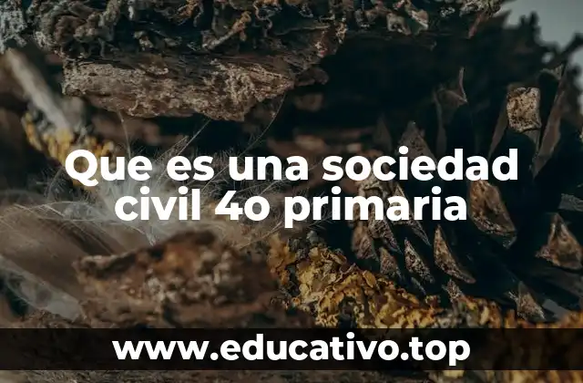 ¿Cómo se enseña la sociedad civil en educación primaria?