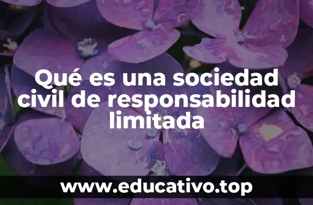 Qué es una sociedad civil de responsabilidad limitada