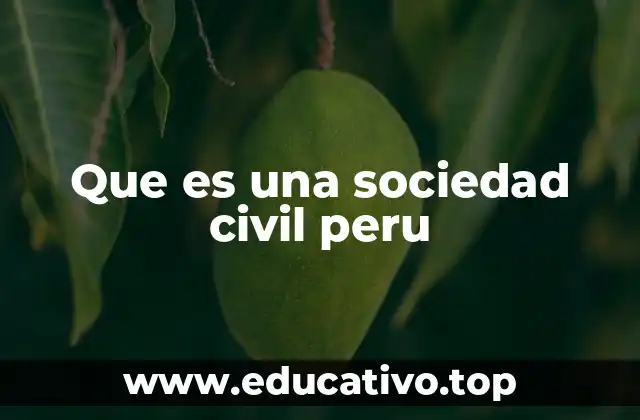 Que es una sociedad civil peru