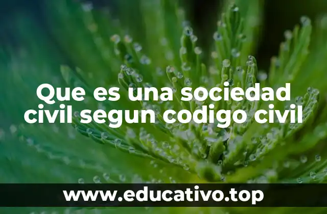 Características principales de una sociedad civil