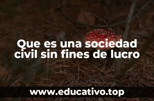 Que es una sociedad civil sin fines de lucro