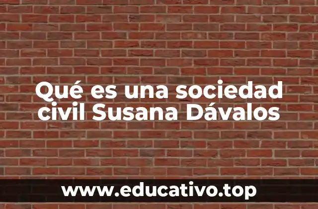 Qué es una sociedad civil Susana Dávalos