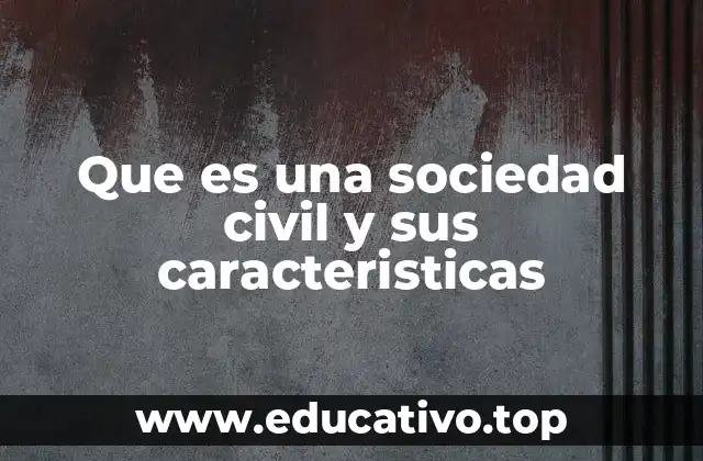Que es una sociedad civil y sus caracteristicas