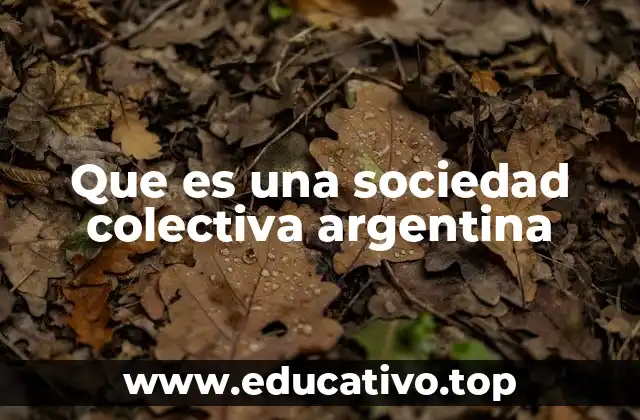 Que es una sociedad colectiva argentina