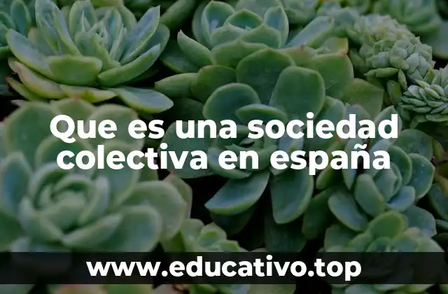 Que es una sociedad colectiva en españa