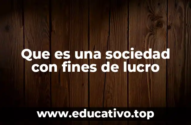 Que es una sociedad con fines de lucro