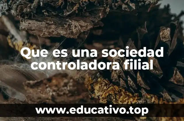 La relación entre empresas controladas y sus implicaciones operativas